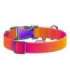 Nylon dog collar with QR code WAUDOG 15 mm wide, 25-35 cm long orange