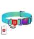 Nylon dog collar with QR code WAUDOG 15 mm wide, 25-35 cm long blue