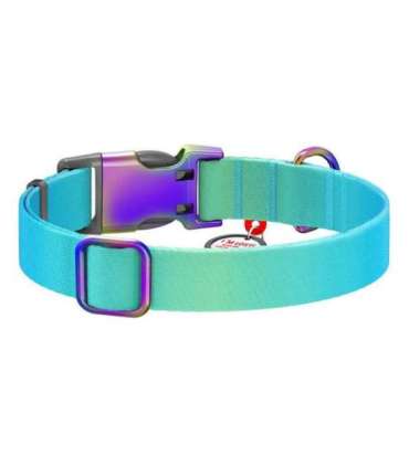 Nylon dog collar with QR code WAUDOG 15 mm wide, 25-35 cm long blue