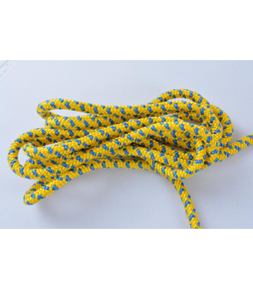 Trapeze for swedish walls