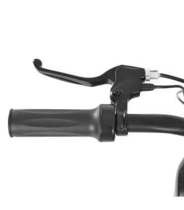 ELEKTRI MOOTORRATAS HECHT 59150 GREEN