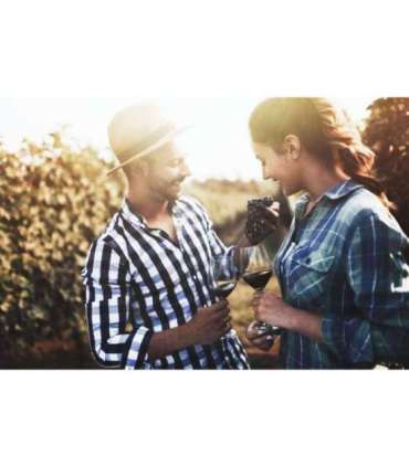 Gastroback Home Sommelier 47000