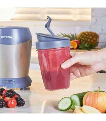 Petra PT2002V4SILVERVDEEU7 Nutrimax 1000W silver