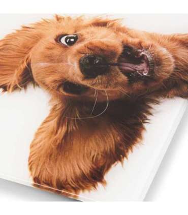 Zelmer ZBS1010 Crazy dog