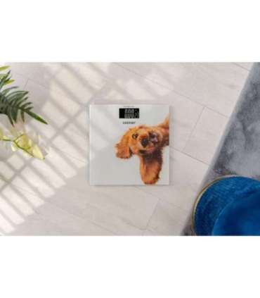 Zelmer ZBS1010 Crazy dog