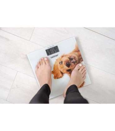 Zelmer ZBS1010 Crazy dog