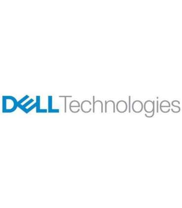 STORAGE DATA PROTECTION SUITE/SW LIC DPS4VM_TB 1YPRO DELL
