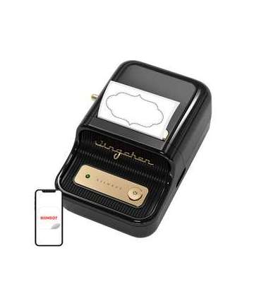 Portable Label Printer Niimbot B21 (Black)