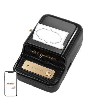 Portable Label Printer Niimbot B21 (Black)