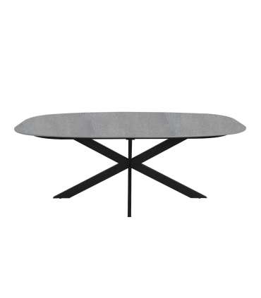 Söögilaud CHASE 200x100xH76cm, hall