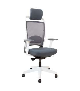 Töötool FULKRUM hall, valge raamiga