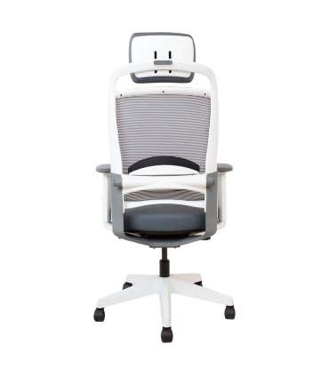 Töötool FULKRUM hall, valge raamiga