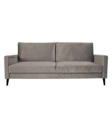 Diivanvoodi ANNA pesukastiga, beež samet