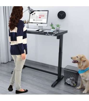 Письменный стол ERGO с 1 мотором 120x60см, черный