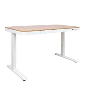 Töölaud ERGO 1-mootoriga 120x60xH72-121cm, tamm/valge