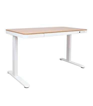 Töölaud ERGO 1-mootoriga 120x60xH72-121cm, tamm/valge