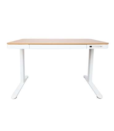Töölaud ERGO 1-mootoriga 120x60xH72-121cm, tamm/valge