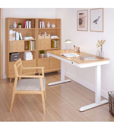 Töölaud ERGO 1-mootoriga 120x60xH72-121cm, tamm/valge