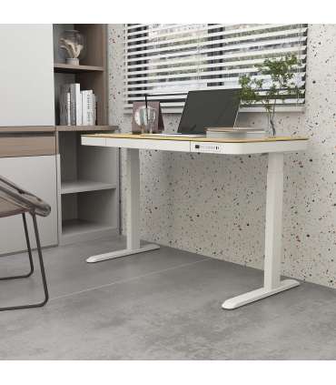 Töölaud ERGO 1-mootoriga 120x60xH72-121cm, tamm/valge