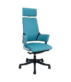 Töötool DELPHI sinakasroheline