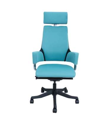 Töötool DELPHI sinakasroheline