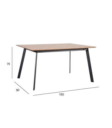 Söögilaud HELENA 160x90xH75cm, tamm