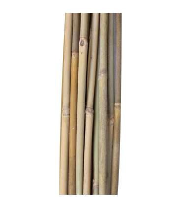 Bambuskepid taimede toestamiseks IN GARDEN H120cm 20tk D8/10mm
