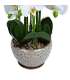 Orhidee GREENLAND H72cm hall pott, valge