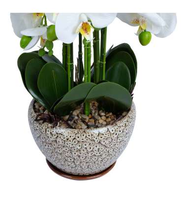 Orhidee GREENLAND H72cm hall pott, valge