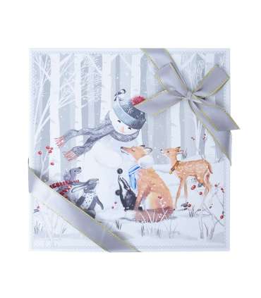 Korrusvaagen MIA SNOW 3-ne kinkekarbis