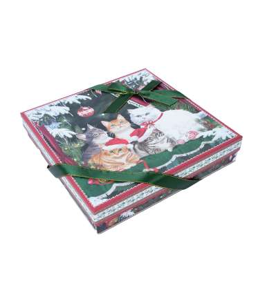 Korrusvaagen MIA CATS 2-ne kinkekarbis