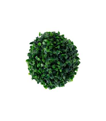 Rohupall BUXUS GREENLAND D17cm, roheline
