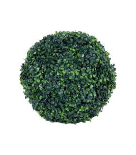 Rohupall BUXUS GREENLAND D37cm, roheline