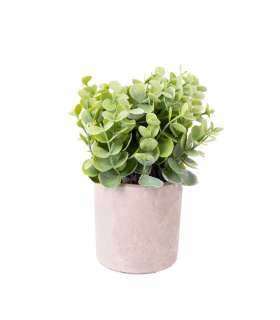 Kunsttaim GREENLAND potis, hall/roheline, mix