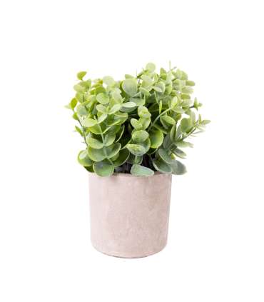 Kunsttaim GREENLAND potis, hall/roheline, mix