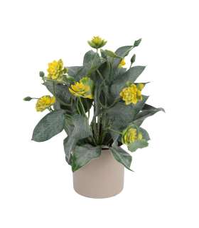 Kunsttaim GREENLAND potis, troopiline, m