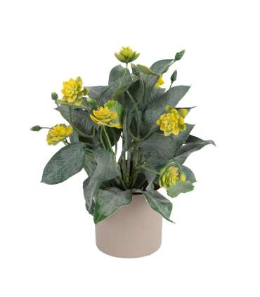 Kunsttaim GREENLAND potis, troopiline, m