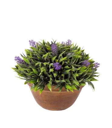 Kunsttaim GREENLAND potis, sinine õis