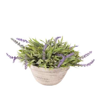 Kunsttaim GREENLAND potis, helehall