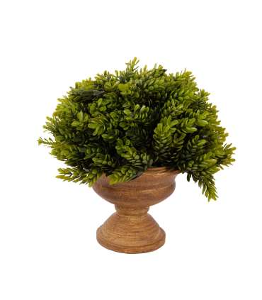 Kunsttaim GREENLAND potis, jalaga