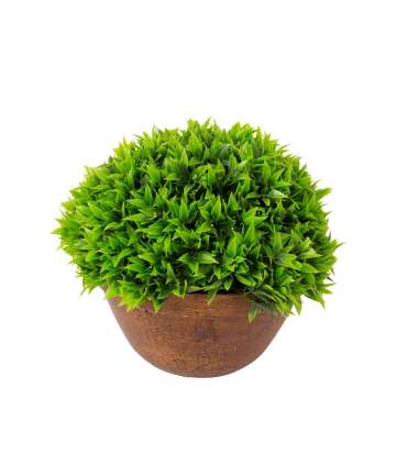 Kunsttaim GREENLAND potis, pruun