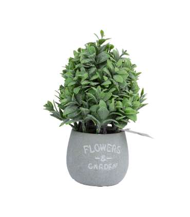 Kunsttaim GREENLAND potis, eukalüpt