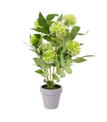 Kunsttaim GREENLAND potis, valged tuttõi