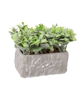 Kunsttaim GREENLAND potis, hall kivi