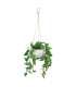 Kunsttaim GREENLAND potis, rippuv, Kuld-