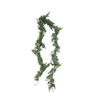 Vanik GREENLAND 180cm, eukalüpt