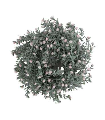 Pärg FLOWERLY D24cm, roosad õied