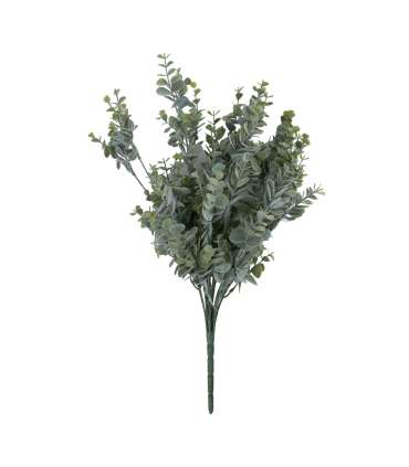 Kunsttaim GREENLAND oks, eukalüpt