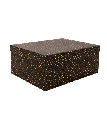 Pappkarp DIANA-2 kaanega 35x27xH15,7cm, 