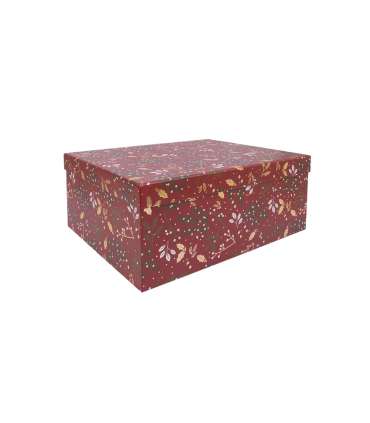 Pappkarp ARIEL-5 kaanega 29x22xH12,5cm, 